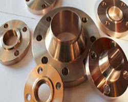 Nickel & Copper Alloy flanges