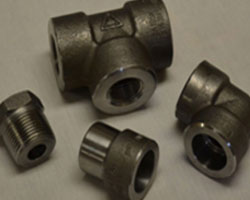 Carbon & Alloy Steel Forged fitting Carbon & Alloy Steel Forged fitting